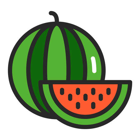 Watermelon color line icon. Healthy, organic food. Proper nutrition. Isolated vector element. Outline pictogram for web page, mobile app, promo.のイラスト素材
