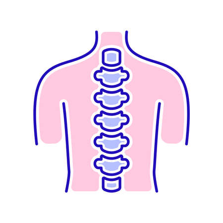 Human spine anatomy color line icon. Health care. Isolated vector element. Outline pictogram for web page, mobile app, promo.のイラスト素材
