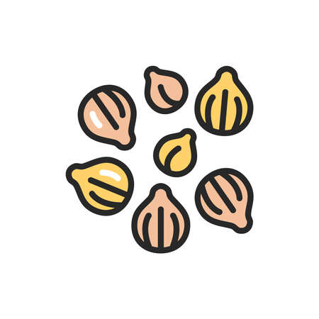 Coriander color line icon. Spices, seasoning. Vector illustrationのイラスト素材