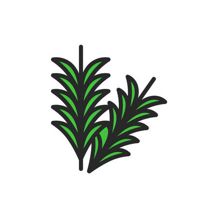 Rosemary branch black color icon. Herbs and spices. Vector illustration.のイラスト素材