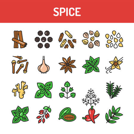 Spices and herbs color line icons set. Vector illustrationのイラスト素材
