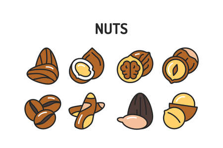 Nuts and seeds color line icons set. Isolated vector element. Outline pictograms for web page, mobile app, promoのイラスト素材