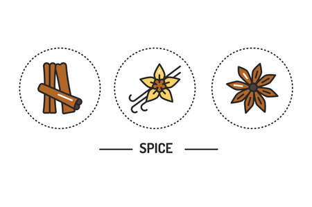 Spices color line icons concept. Vector illustration.のイラスト素材