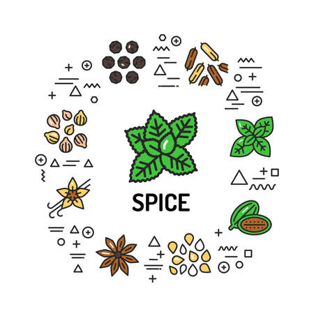 Spice web banner. Infographics with linear icons on white background. Creative idea concept. Isolated outline color illustrationのイラスト素材