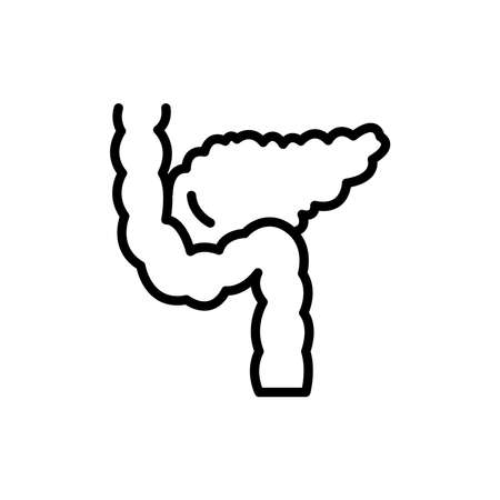 Human organ pancreas color line icon. isolated vector element. Outline pictogram for web page, mobile app, promoのイラスト素材