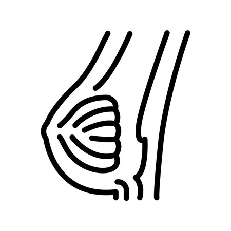 Breast anatomy olor line icon. Pictogram for web pageのイラスト素材