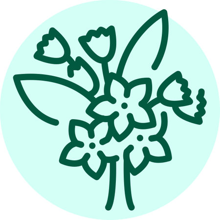 Jasmine olor line icon. Pictogram for web pageのイラスト素材