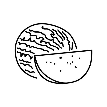 Watermelon and half color line icon. Pictogram for web pageのイラスト素材