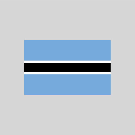 Flag of Botswana color line element. Vector element for web pageのイラスト素材