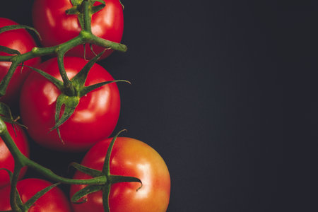 Vine Tomatoes on black backgroundの写真素材