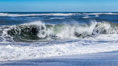 Wave