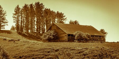 Barn and Horsesの写真素材