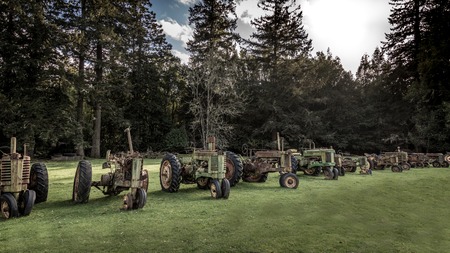 Antique Tractors in a Field, Color Image, Day