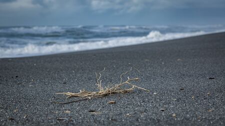 Shoreline Beach Scene from Northern California, Color Imageの写真素材