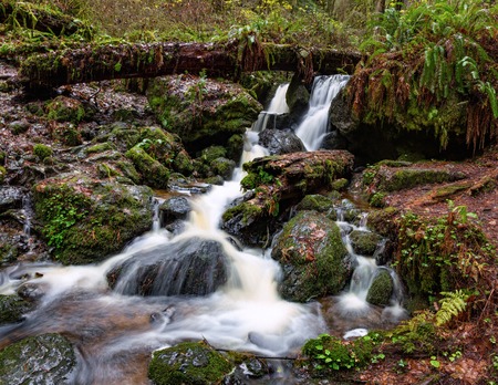 Small Waterfall in the Rain Forest, Color Imageの写真素材