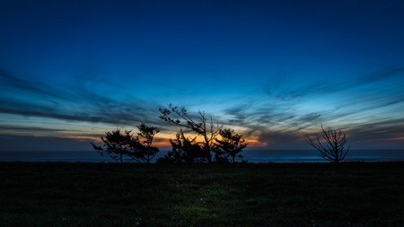 Blue Hour Sunset with Treesの写真素材