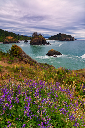 Sunset at a Rocky Beach, Northern California Coastの写真素材