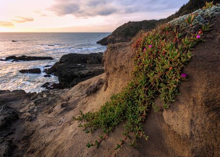 Color image of a beautiful sunset overlooking the Pacific Ocean in Northern California.