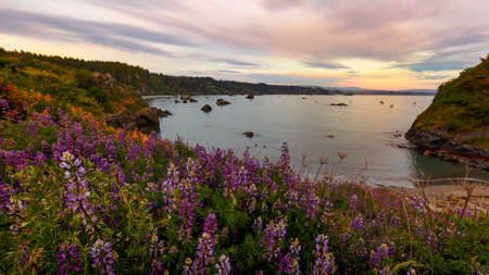 Sunset at the Beach. Northern California, USA.の写真素材