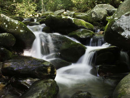 Water cascading over moss covered rocks in forest settingの写真素材