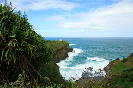 Kilaauea Lighthouse with green ferns and cactus in the foregroundの写真素材