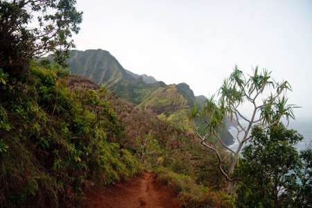 Kalalau trail path on the north coast of Kauai along Na Pali coastlineの写真素材