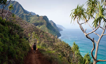 View of Na Pali coast from the Kalalau trailの写真素材