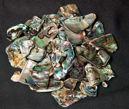 Stack of Paua shells from New Zealand with a single one encased in silver wire for jewelry making