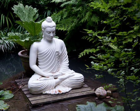 Statue of Buddha on wooden platform in pool surrounded by fernsの写真素材