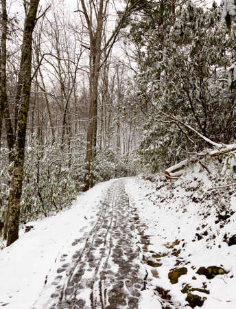 Hiking a snow covered path in the Smoky Mountains in winterの写真素材