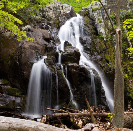 Overall Run waterfall is the highest waterfall in Virginia if its sections are taken into account.の写真素材