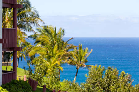 Holiday apartments overlook the sea in Kauai