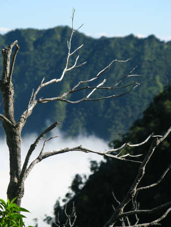 Low clouds start to form on Kalalau valley in Kauai Na Pali Coastの写真素材