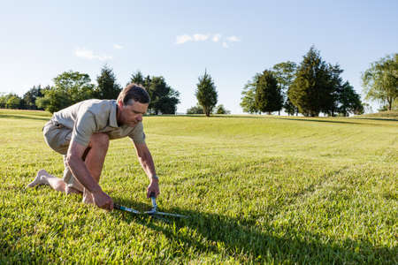 Challenging task of cutting large lawn with grass shears by handの写真素材