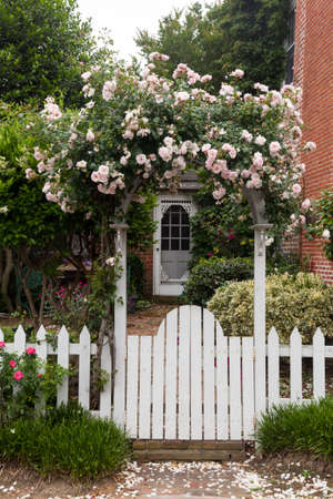 Yellow and red flowers growing along a white picket fence in traditional gardenの写真素材
