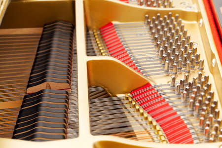 Detailed interior of grand piano showing the strings, pegs, sound board with focus sharp in one area