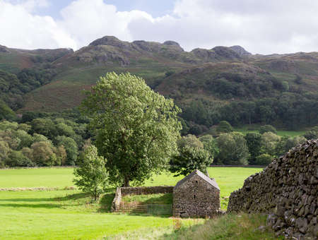 Ancient stone farm building and dry stone wall in English Lake Districtの写真素材