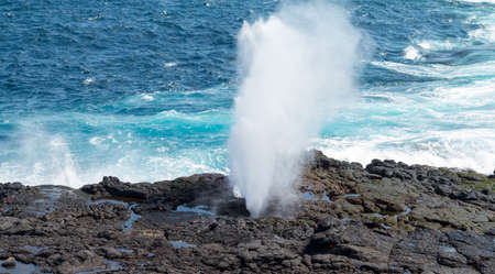 Sea spout or blow hole on Suarez point in rocks on Espanola Galapagos Islandsの写真素材