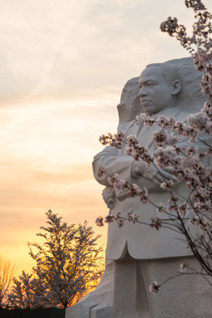 WASHINGTON DC - APRIL 8: The monument to Dr Martin Luther King in Washington DC surrounded by cherry blossoms on April 8, 2013. The memorial opened to the public on August 22, 2011.のeditorial素材