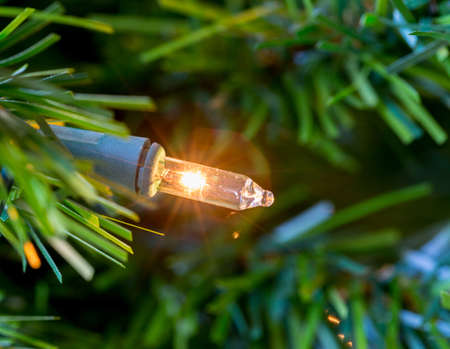 Christmas tree bulb or light used in the lighting arrangement for an xmas pine treeの写真素材