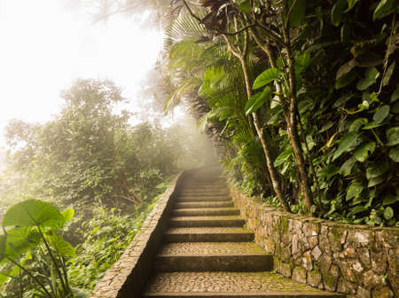 Misty stone path to summit of Sugarloaf Mountain in  Rio de Janeiro in Brazilの写真素材
