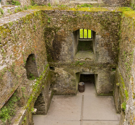 Blarney Castle or Caislean na Blarnan is a famous old Irish castle renowned for the Blarney stone that many people come to kiss. It is near Cork in Ireland or Eireのeditorial素材