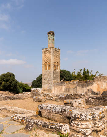 Ancient roman ruins in Chellah near Rabat in Morocco are well populated by storks and their nestsの写真素材