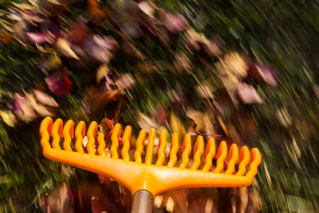 Motion blur created when orange lawn rake is moved through the leaves on green lawn の写真素材