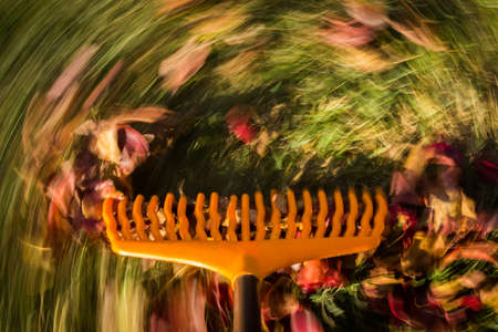 Motion blur created when orange lawn rake is moved through the leaves on green lawn の写真素材