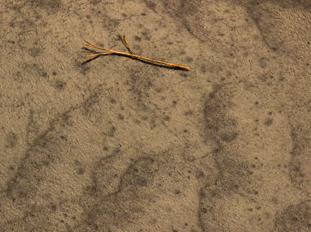 Sunlight shines on stick in heavy monsoon rain as water flows rapidly down a road