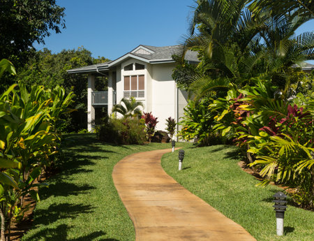 Pathway leads through tropical plants at hotel or timeshare holiday vacation resortのeditorial素材