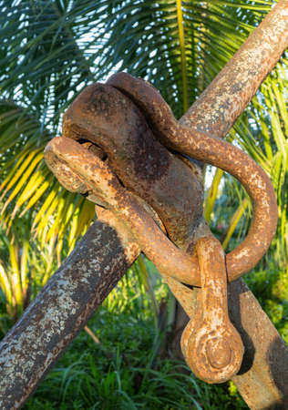 Detail of the rusty links of chain on large boat anchor used as a decoration in a tropical garden with palm treesの写真素材