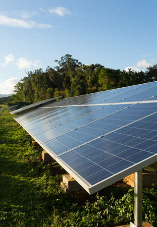 Large industrial solar power panels installation in hot tropical environmentの写真素材