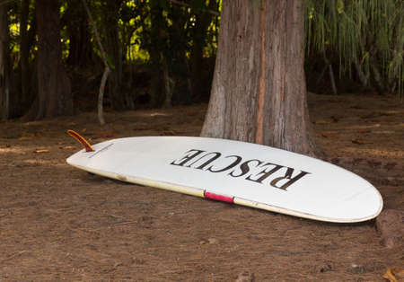 Large white rescue surfboard leaning against tree on coastline in Kauaiの写真素材